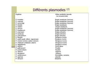 !#
                                                            "

Esp ces                                     Hôtes vert br s naturels
                                             (ou occasionnels)

P. knowlesi                                 Singes asiatiques (homme)
P. coatneyi                                 Singes asiatiques (homme)
P. cynomolgi                                Singes asiatiques (homme)
P. booliati                                 Singes asiatiques
P. watteni                                   Singes asiatiques
P. aimium                                   Singes asiatiques (homme)
P. brasilianum                              Singes asiatiques (homme)
P. anamaluri                                Singes africains
P. landauae                                 Singes africains
P. pulmophilum                              Singes africains
P. berghei                                  Rongeurs murins
P. yoelli (yoelli, killicki, nigeriensis)   Rongeurs murins
P. vinckei (vinckei, petteri, lentum)       Rongeurs murins
P. chabaudi (chabaudi, adami)                Rongeurs murins
P. aegyptensis                              Rongeurs murins
P. atheruri                                 Porcs- pics
                                            Porcs-
P. gallinaceum                              Poulets
P. juxtanucleare                             Poulets
P. relictum                                  Pigeons
P. elongatum                                 Oiseaux
P. cathemerium                              Hirondelles, canaries
P. agamae                                   L zards
P. wenyoni                                  Serpents
 