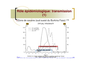 Rôle épidémiologique: transmissionRôle épidémiologique: transmission
(1)(1)
Zone de savane (sud ouest du Burkina Faso) (13)
ma ma244 piq. Infectées/H
Densité de funestus atteint son maximum à la fin de la saison des pluies
Saison des pluies
Transmission paludisme
 