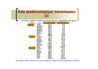 Rôle épidémiologique: transmissionRôle épidémiologique: transmission
(2)(2)
Zone côtière du Kenya (forêt dense, végétation de type
savane..) (14)An. gambiae An. funestus
Malindi
Kilifi
Kwande
les faibles EIR maintiennent une incidence importante du paludisme sévère
 