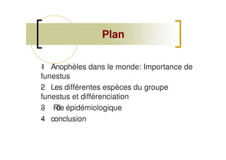 Plan
1- Anophèles dans le monde: Importance de
funestus
2- Les différentes espèces du groupe
funestus et différenciation
3- Rôle épidémiologique
4- conclusion
 