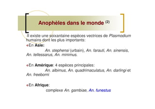 Anophèles dans le mondeAnophèles dans le monde (2)
-Il existe une soixantaine espèces vectrices de Plasmodium
humains dont les plus importants:
En Asie:Asie:
An. stephensi (urbain), An. farauti, An. sinensis,
An. tellessarus, An. minimus.
En AmériqueAmérique: 4 espèces principales:
An. albimus, An. quadrimaculatus, An. darlingi et
An. freeborni
En AfriqueAfrique:
complexe An. gambiae, An. funestusAn. funestus
 