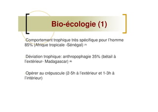 Bio-écologie (1)
-Comportement trophique très spécifique pour l’homme
85% (Afrique tropicale -Sénégal) (7)
-Déviation trophique: anthropophagie 35% (bétail à
l’extérieur- Madagascar) (8)
-Opérer au crépuscule (2-5h à l’extérieur et 1-3h à
l’intérieur)
 