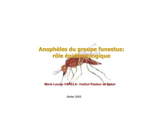 Marie Louise VARELA– Institut Pasteur de Dakar
Atelier 2005
 