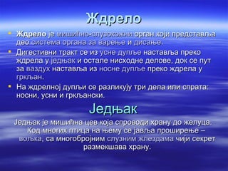 Ждрело
 Ждрело је мишићно-слузокожни орган који представља
  део система органа за варење и дисање.
 Дигестивни тракт се из усне дупље наставља преко
  ждрела у једњак и остале нисходне делове, док се пут
  за ваздух наставља из носне дупље преко ждрела у
  гркљан.
 На ждрелној дупљи се разликују три дела или спрата:
  носни, усни и гркљански.

                     Једњак
 Једњак је мишићна цев која спроводи храну до желуца.
    Код многих птица на њему се јавља проширење –
  вољка, са многобројним слузним жлездама чији секрет
                   размекшава храну.
 