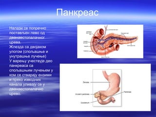 Панкреас
Налази се попречно
постављен лево од
дванаестопалачног
црева.
Жлезда са двојаком
улогом (спољашње и
унутрашње лучење)
У варењу учествује део
панкреаса са
спољашњим лучењем у
ком се стварају ензими
и преко изводних
канала уливају се у
дванаестопалачно
црево.
 