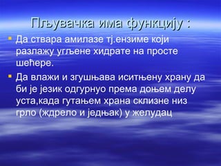 Пљувачка има функцију :
 Да ствара амилазе тј.ензиме који
  разлажу угљене хидрате на просте
  шећере.
 Да влажи и згушњава иситњену храну да
  би је језик одгурнуо према доњем делу
  уста,када гутањем храна склизне низ
  грло (ждрело и једњак) у желудац
 