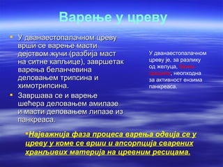 Варење у цреву
 У дванаестопалачном цреву
  врши се варење масти
  дејством жучи (разбија маст      У дванаестопалачном
  на ситне капљице), завршетак     цреву је, за разлику
                                   од желуца, базна
  варења беланчевина               средина, неопходна
  деловањем трипсина и             за активност ензима
  химотрипсина.                    панкреаса.
 Завршава се и варење
  шећера деловањем амилазе
  и масти деловањем липазе из
  панкреаса.
    Најважнија фаза процеса варења одвија се у
    цреву у коме се врши и апсорпција сварених
    хранљивих материја на цревним ресицама.
 