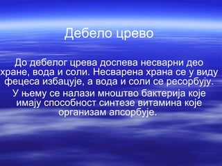 Дебело црево

   До дебелог црева доспева несварни део
хране, вода и соли. Несварена храна се у виду
 фецеса избацује, а вода и соли се ресорбују.
  У њему се налази мноштво бактерија које
   имају способност синтезе витамина које
            организам апсорбује.
 