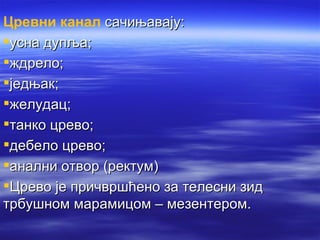 Цревни канал сачињавају:
усна дупља;
ждрело;
једњак;
желудац;
танко црево;
дебело црево;
анални отвор (ректум)
Црево је причвршћено за телесни зид
трбушном марамицом – мезентером.
 