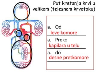 Put kretanja krvi u
velikom (telesnom krvotoku)
a. Od
a. Preko
a. do
leve komore
kapilara u telu
desne pretkomore
 