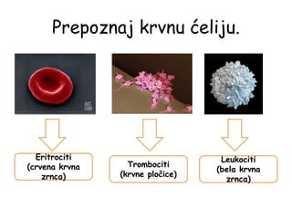 Prepoznaj krvnu ćeliju.
Eritrociti
(crvena krvna
zrnca)
Trombociti
(krvne pločice)
Leukociti
(bela krvna
zrnca)
 