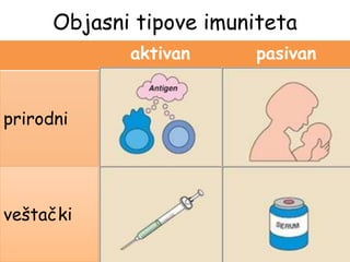 Objasni tipove imuniteta
aktivan pasivan
prirodni
Stvaranje antitela nakon
preležane bolesti (boginje,
zauške). Organizam je tada
trajno ili privremeno
‘otporan ‘ na tu bolest. Pri
ponovnom kontaktu sa istim
antigenom, sprečava se
pojava bolesti.
Beba dobija antitela od
majke za vreme trudnoće ili
preko mleka.
veštački
Vakcinacija. Organizam se
podstiče da stvara anatitela
(odbrambene belančevine).
Vakcine ne mogu da izazovu
bolest, ali podstiču
stvaranje antitela.
Davanje gotovih antitela-
serum. Daju se osobi koja je
već obolela.
 