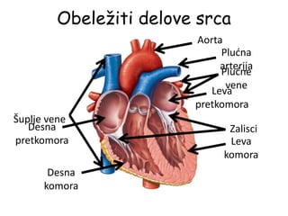 Obeležiti delove srca
Desna
pretkomora
Desna
komora
Leva
pretkomora
Leva
komora
Šuplje vene
Plućne
vene
Aorta
Plućna
arterija
Zalisci
 