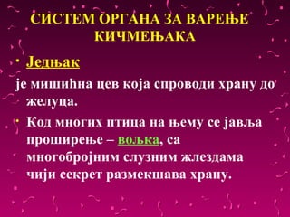 СИСТЕМ ОРГАНА ЗА ВАРЕЊЕ
          КИЧМЕЊАКА
•   Једњак
је мишићна цев која спроводи храну до
  желуца.
• Код многих птица на њему се јавља
  проширење – вољка, са
  многобројним слузним жлездама
  чији секрет размекшава храну.
 