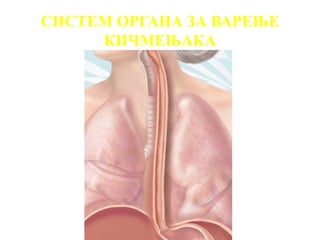 СИСТЕМ ОРГАНА ЗА ВАРЕЊЕ
     КИЧМЕЊАКА
 