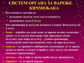 СИСТЕМ ОРГАНА ЗА ВАРЕЊЕ
              КИЧМЕЊАКА
•    Код птица се састоји из:
      • жлезданог (жлезде луче слуз и ензиме) и
      • механичког дела (бубац).
•    Код преживара је желудац велики и сложен. Издељен је на
     4 дела:
1.   бураг – највећи део који може да прими велику количину
     хране; ту се налазе бактерије које производе ензим
     целулазу која вари целулозу – једино преживари,
     захваљујући овим бактеријама, могу да варе целулозу;
2.   капуља – са мрежасто набораном слузокожом; ту се храна
     меша са соком, а затим се враћа у усну дупљу на поновно
     жвакање (преживанје);
3.   литоња – део у који се храна враћа после преживања;
4.   сириште – ту се врши варење.
 