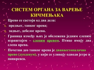 СИСТЕМ ОРГАНА ЗА ВАРЕЊЕ
             КИЧМЕЊАКА
•    Црево се састоји од два дела:
1.    предњег, танког црева;
2.    задњег, дебелог црева.
•    Граница између њих је обележена једним слепим
     израштајем – слепим цревом. Птице имају два
     слепа црева.
•    Почетни део танког црева је дванаестопалачно
     црево (дуоденум), у који се уливају одводи јетре и
     панкреаса.
 