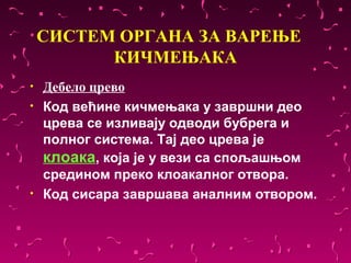 СИСТЕМ ОРГАНА ЗА ВАРЕЊЕ
          КИЧМЕЊАКА
•   Дебело црево
•   Код већине кичмењака у завршни део
    црева се изливају одводи бубрега и
    полног система. Тај део црева је
    клоака, која је у вези са спољашњом
    средином преко клоакалног отвора.
•   Код сисара завршава аналним отвором.
 