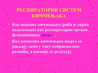 РЕСПИРАТОРНИ СИСТЕМ
          КИЧМЕЊАКА
•   Код водених кичмењака (риба и ларви
    водоземаца) као респираторни органи
    функционишу шкрге.
•   Код копнених кичмењака шкрге се
    јављају само у току ембрионалног
    развића, а кaсније се редукују.
 