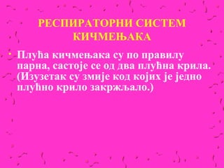 РЕСПИРАТОРНИ СИСТЕМ
            КИЧМЕЊАКА
•   Плућа кичмењака су по правилу
    парна, састоје се од два плућна крила.
    (Изузетак су змије код којих је једно
    плућно крило закржљало.)
 