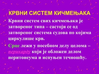 КРВНИ СИСТЕМ КИЧМЕЊАКА
•   Крвни систем свих кичмењака је
    затвореног типа – састоји се од
    затвореног система судова по којима
    циркулише крв.
•   Срце лежи у посебном делу целома –
    перикарду који је обложен делом
    перитонеума и испуњен течношћу.
 