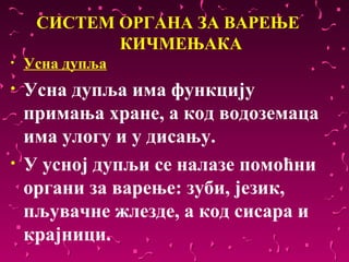 СИСТЕМ ОРГАНА ЗА ВАРЕЊЕ
            КИЧМЕЊАКА
•   Усна дупља
•   Усна дупља има функцију 
    примања хране, а код водоземаца 
    има улогу и у дисању. 
•   У усној дупљи се налазе помоћни 
    органи за варење: зуби, језик, 
    пљувачне жлезде, а код сисара и 
    крајници. 
 