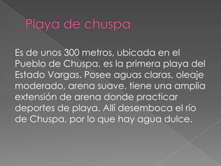 Es de unos 300 metros, ubicada en el
Pueblo de Chuspa, es la primera playa del
Estado Vargas. Posee aguas claras, oleaje
moderado, arena suave, tiene una amplia
extensión de arena donde practicar
deportes de playa. Allí desemboca el río
de Chuspa, por lo que hay agua dulce.
 