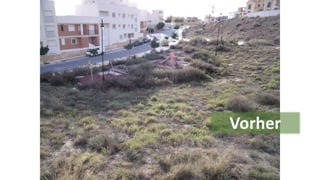 Vargas gartengestaltung