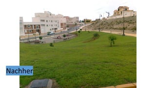 Vargas gartengestaltung