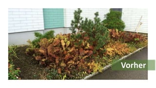 Vargas gartengestaltung