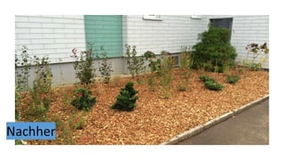 Vargas gartengestaltung