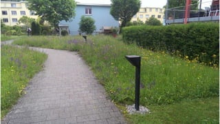 Vargas gartengestaltung