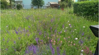 Vargas gartengestaltung