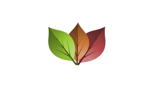 Vargas gartengestaltung