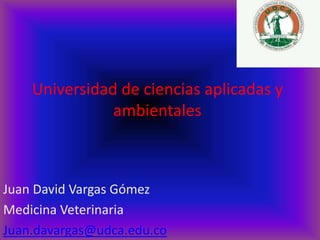 Universidad de ciencias aplicadas y
ambientales
Juan David Vargas Gómez
Medicina Veterinaria
Juan.davargas@udca.edu.co
 