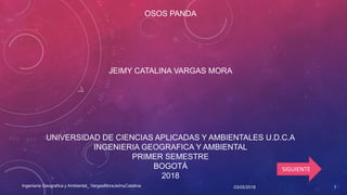 OSOS PANDA
JEIMY CATALINA VARGAS MORA
UNIVERSIDAD DE CIENCIAS APLICADAS Y AMBIENTALES U.D.C.A
INGENIERIA GEOGRAFICA Y AMBIENTAL
PRIMER SEMESTRE
BOGOTÁ
2018
SIGUIENTE
03/05/2018Ingenieria Geografica y Ambiental_ VargasMoraJeimyCatalina 1
 