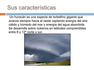 Sus características
Un huracán es una especie de torbellino gigante que
avanza siempre hacia el oeste captando energía del aire
cálido y húmedo del mar y energía del agua absorbida.
Se desarrolla sobre océanos en latitudes comprendidas
entre 8 y 12º norte y sur.
 