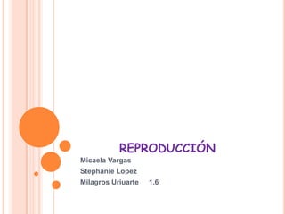 REPRODUCCIÓN
Micaela Vargas
Stephanie Lopez
Milagros Uriuarte   1.6
 