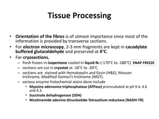 Tissue Processing
• Orientation of the fibres is of utmost importance since most of the
information is provided by transverse sections.
• For electron microscopy, 2-3 mm fragments are kept in cacodylate
buffered glutaraldehyde and preserved at 4°C.
• For cryosections,
– fresh frozen in isopentane cooled in liquid N2 (-170°C to -180°C)
– sections are cut in cryostat at -18°C to -20°C.
– sections are stained with Hematoxylin and Eosin (H&E), Masson
trichrome, Modified Gomori’s trichrome (MGT).
– various enzyme histochemial stains done include
• Myosine adenosine triphosphatase (ATPase) preincubated at pH 9.4, 4.6
and 4.3.
• Succinate dehydrogenase (SDH)
• Nicotinamide adenine dinucleotide-Tetrazolium reductase (NADH-TR)
SNAP FREEZE
 