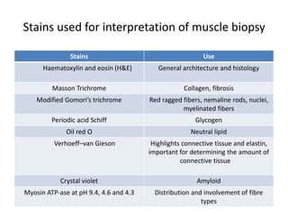 Stains used for interpretation of muscle biopsy
Stains Use
Haematoxylin and eosin (H&E) General architecture and histology
Masson Trichrome Collagen, fibrosis
Modified Gomori’s trichrome Red ragged fibers, nemaline rods, nuclei,
myelinated fibers
Periodic acid Schiff Glycogen
Oil red O Neutral lipid
Verhoeff–van Gieson Highlights connective tissue and elastin,
important for determining the amount of
connective tissue
Crystal violet Amyloid
Myosin ATP-ase at pH 9.4, 4.6 and 4.3 Distribution and involvement of fibre
types
 