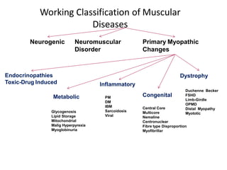 Working Classification of Muscular
Diseases
Neurogenic Neuromuscular
Disorder
Primary Myopathic
Changes
Inflammatory
CongenitalMetabolic
Endocrinopathies
Toxic-Drug Induced
Dystrophy
Duchenne Becker
FSHD
Limb-Girdle
OPMD
Distal Myopathy
Myototic
Central Core
Multicore
Nemaline
Centronuclear
Fibre type Disproportion
Myofibrillar
PM
DM
IBM
Sarcoidosis
Viral
Glycogenosis
Lipid Storage
Mitochondrial
Malig Hyperpyrexia
Myoglobinuria
 