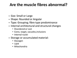 Are the muscle fibres abnormal?
– Size: Small or Large
– Shape: Rounded or Angular
– Type: Grouping; fibre type predominance
– Internal architectural and structural changes
• Disordered or Lost
• Cores, target, vacuoles,inclusions
• Internal nuclei
– Storage or accumulated material:
• Glycogen
• Lipid
• Mitochondria
 