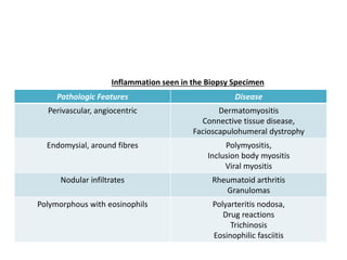 Pathologic Features Disease
Perivascular, angiocentric Dermatomyositis
Connective tissue disease,
Facioscapulohumeral dystrophy
Endomysial, around fibres Polymyositis,
Inclusion body myositis
Viral myositis
Nodular infiltrates Rheumatoid arthritis
Granulomas
Polymorphous with eosinophils Polyarteritis nodosa,
Drug reactions
Trichinosis
Eosinophilic fasciitis
Inflammation seen in the Biopsy Specimen
 