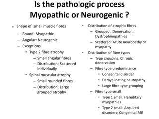 Is the pathologic process
Myopathic or Neurogenic ?
. Shape of small muscle fibres
– Round: Myopathic
– Angular: Neurogenic
– Exceptions
• Type 2 fibre atrophy
– Small angular fibres
– Distribution: Scattered
individually
• Spinal muscular atrophy
– Small rounded fibres
– Distribution: Large
grouped atrophy
• Distribution of atrophic fibres
– Grouped : Denervation;
Dystrophinopathies
– Scattered: Acute neuropathy or
myopathy
• Distribution of fibre types
– Type grouping: Chronic
denervation
– Fibre type predominance
• Congenital disorder
• Demyelinating neuropathy
• Large fibre type grouping
– Fibre type small
• Type 1 small: Hereditary
myopathies
• Type 2 small: Acquired
disorders; Congenital MG
 