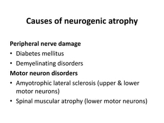 Causes of neurogenic atrophy
Peripheral nerve damage
• Diabetes mellitus
• Demyelinating disorders
Motor neuron disorders
• Amyotrophic lateral sclerosis (upper & lower
motor neurons)
• Spinal muscular atrophy (lower motor neurons)
 
