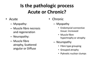 Is the pathologic process
Acute or Chronic?
• Acute
– Myopathy:
– Muscle fibre necrosis
and regeneration
– Neuropathy:
– Muscle fibre
atrophy, Scattered
angular or Diffuse
• Chronic
– Myopathy
• Endomysial connective
tissue: Increased
• Muscle fibre
hypertrophy or atrophy
– Neuropathy
• Fibre type grouping
• Grouped atrophy
• Pyknotic nuclear clumps
 