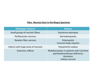 Pathologic Features Disease
Small groups of necrotic fibres Duchenne dystrophy
Perifascicular necrosis Dermatomyositis
Random fibre necrosis Polymyositis
Inclusion body myositis
Infarcts with large areas of necrosis Polyarteritis nodosa
Extensive, diffuse Rhabdomyolysis in patients with Carnitine
palmitoyltransferase deficiency
Alcoholics
military recruits
Fibre Necrosis Seen in the Biopsy Specimen
 
