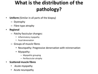 What is the distribution of the
pathology?
• Uniform (Similar in all parts of the biopsy)
– Dystrophy
– Fibre type atrophy
• Regional
– Patchy fascicular changes:
• Inflammatory myopathy
• Focal denervation
– Groups of muscle fibres
• Neuropathy: Progressive denervation with reinnervation
• Myopathy:
– Myopathic grouping
– Perifascicular atrophy
• Scattered muscle fibres
• Acute myopathy
• Acute neuropathy
 