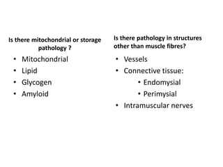 Is there mitochondrial or storage
pathology ?
• Mitochondrial
• Lipid
• Glycogen
• Amyloid
Is there pathology in structures
other than muscle fibres?
• Vessels
• Connective tissue:
• Endomysial
• Perimysial
• Intramuscular nerves
 
