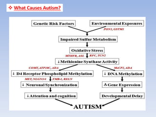  What Causes Autism?
 